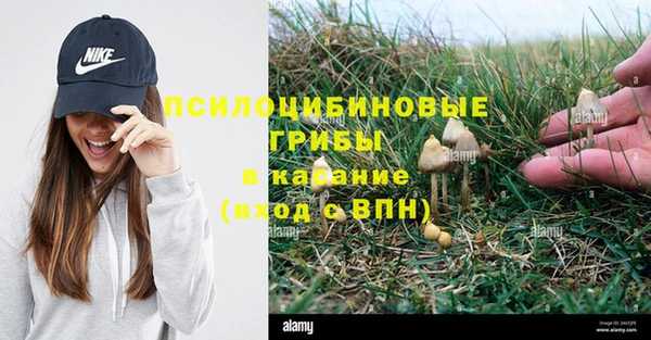 крисы Белокуриха