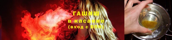крисы Белокуриха