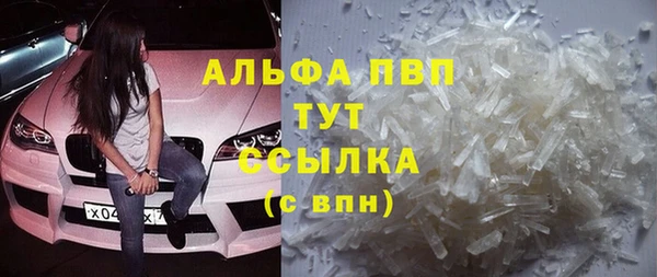 крисы Белокуриха