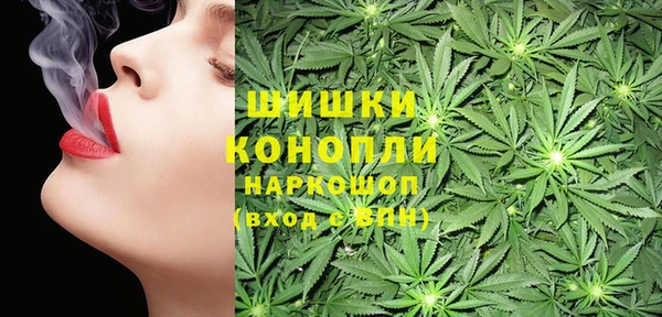 стаф Богородск