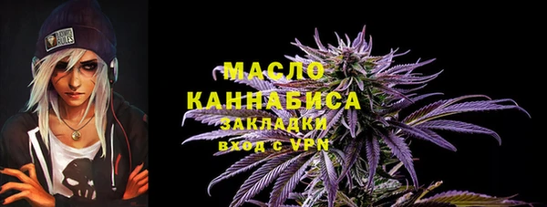 стаф Богородск